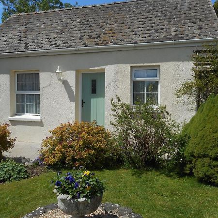 Glascoed Farmhouse Carmarthen Bagian luar foto