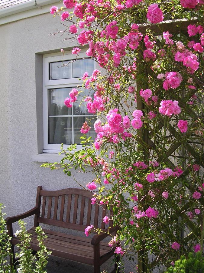 Glascoed Farmhouse Carmarthen Bagian luar foto